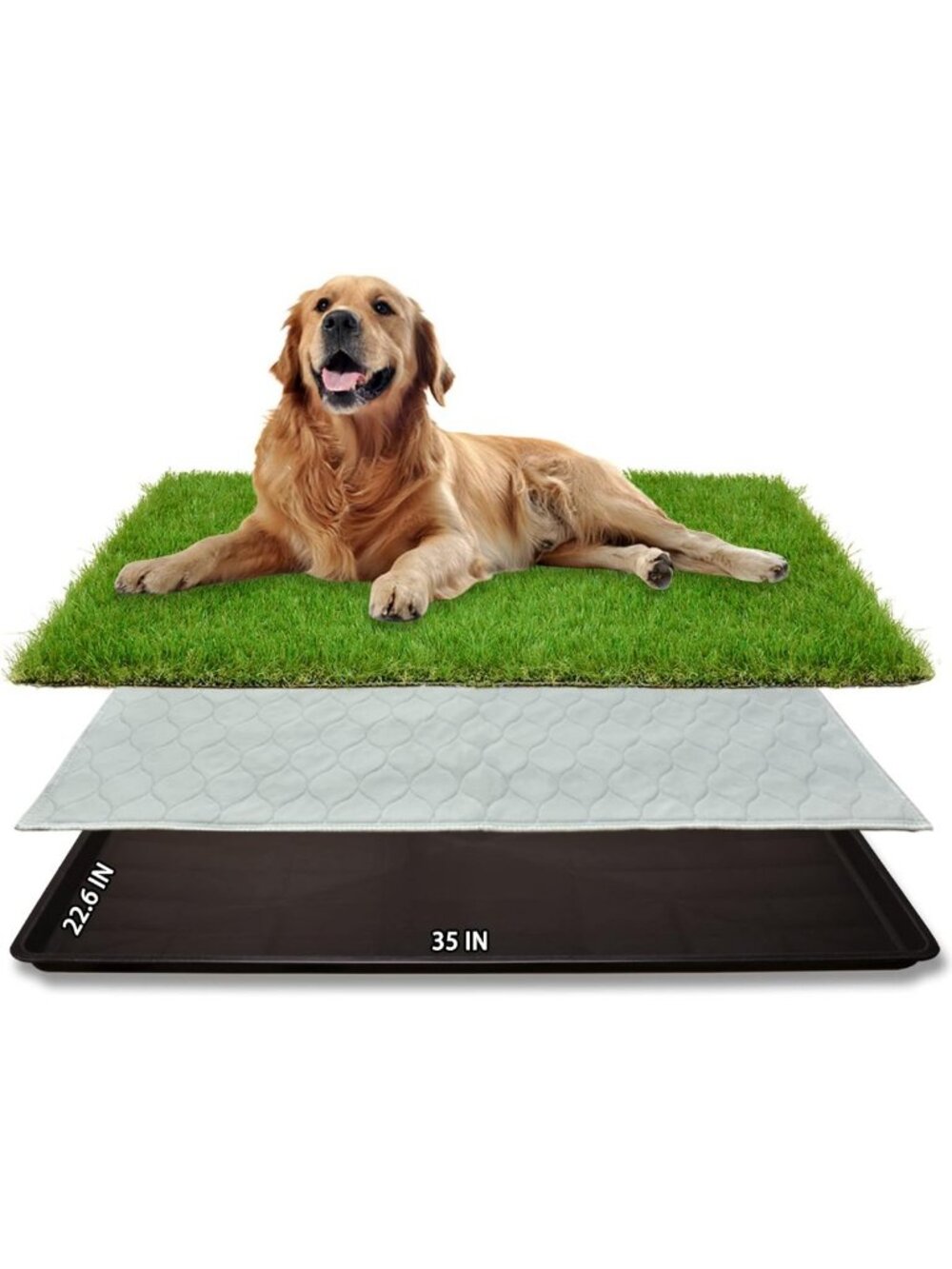 Indoor Dog Grass Pad with Tray | Puppy Potty Training, Quick-Absorbent & Easy